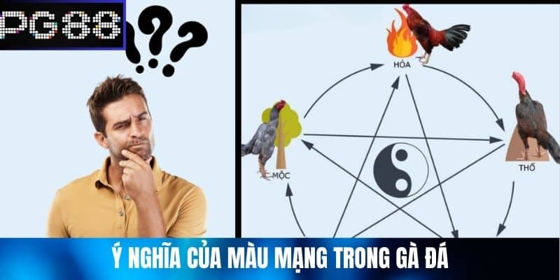 Ý nghĩa của màu mạng trong gà đá