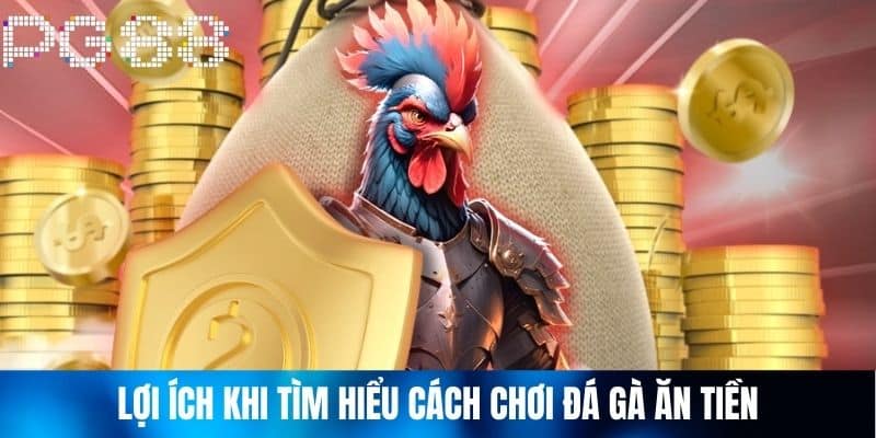 Lợi Ích Khi Tìm Hiểu Cách Chơi Đá Gà Ăn Tiền