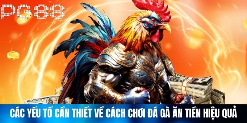 Các Yếu Tố Cần Thiết Về Cách Chơi Đá Gà Ăn Tiền Hiệu Quả