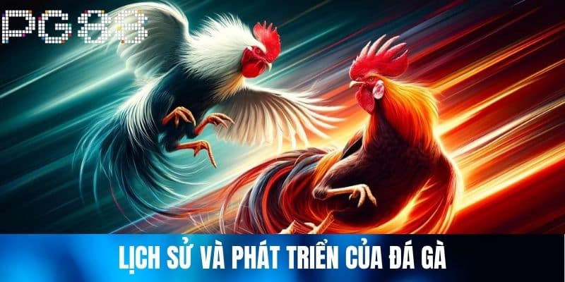 Lịch sử và phát triển của Đá Gà