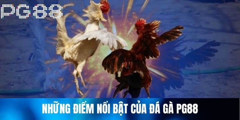 Những điểm nổi bật của Đá Gà PG88