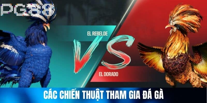 Các chiến thuật tham gia Đá Gà